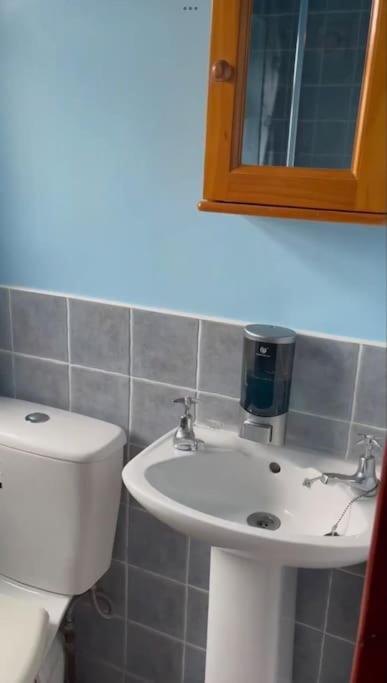 Annie Dee'S Guest Accommodation Ballygowan ภายนอก รูปภาพ