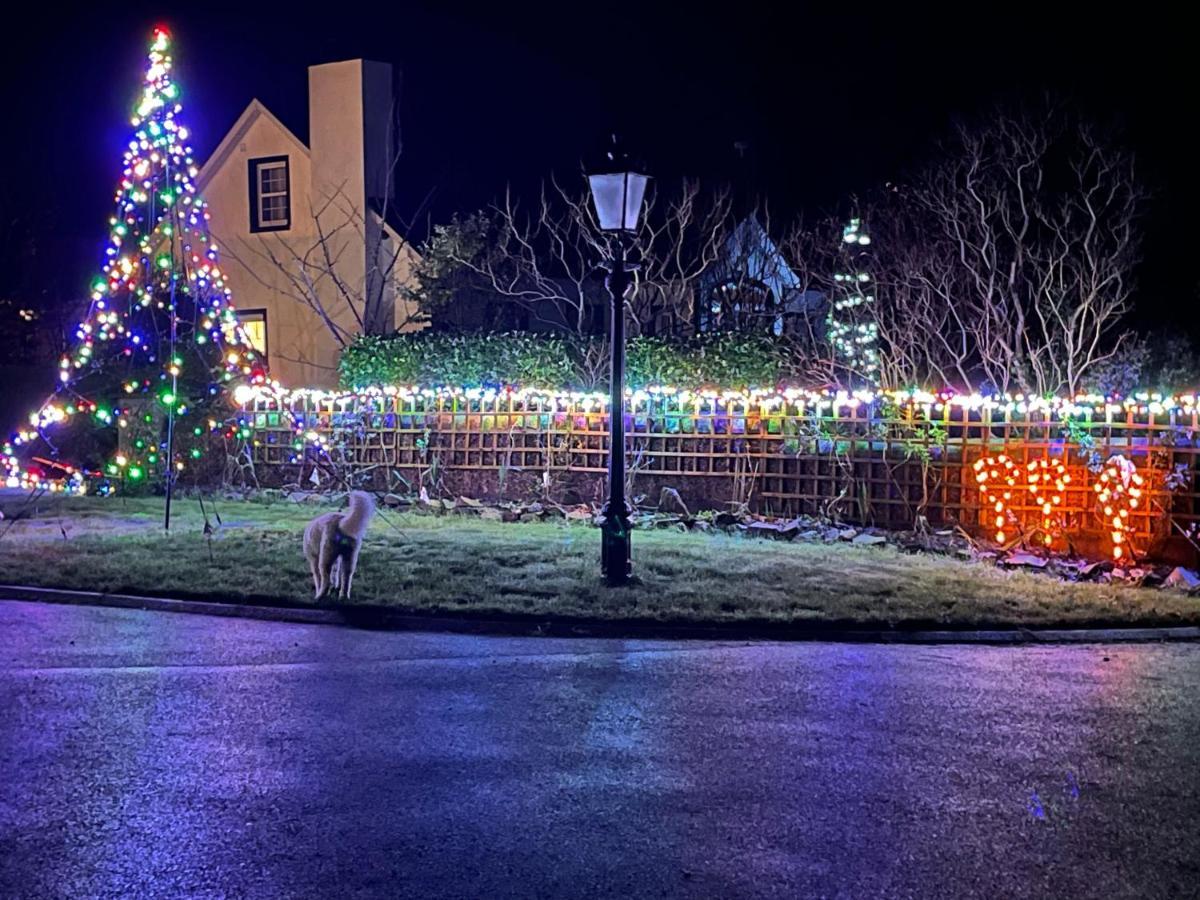 Annie Dee'S Guest Accommodation Ballygowan ภายนอก รูปภาพ